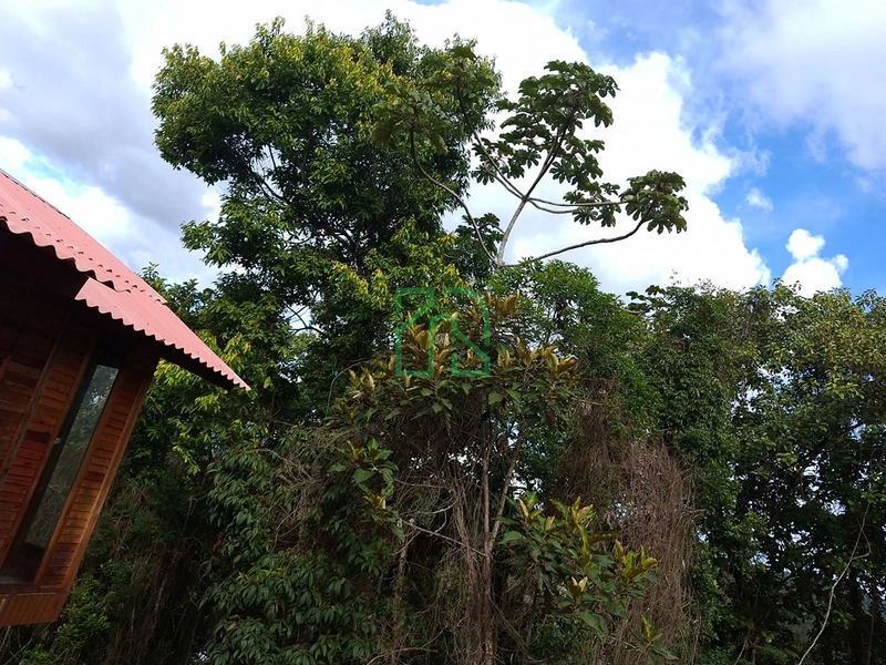 Casa Area rural canelinha: 3ª foto da galeria de imagens do imóvel