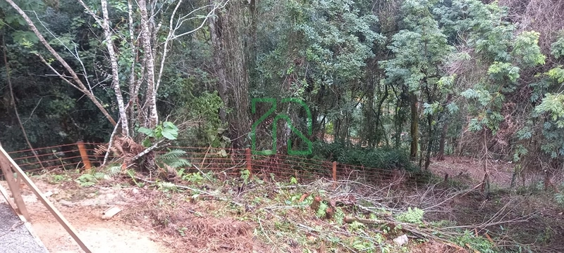 Casa Area rural canelinha: 20ª foto da galeria de imagens do imóvel