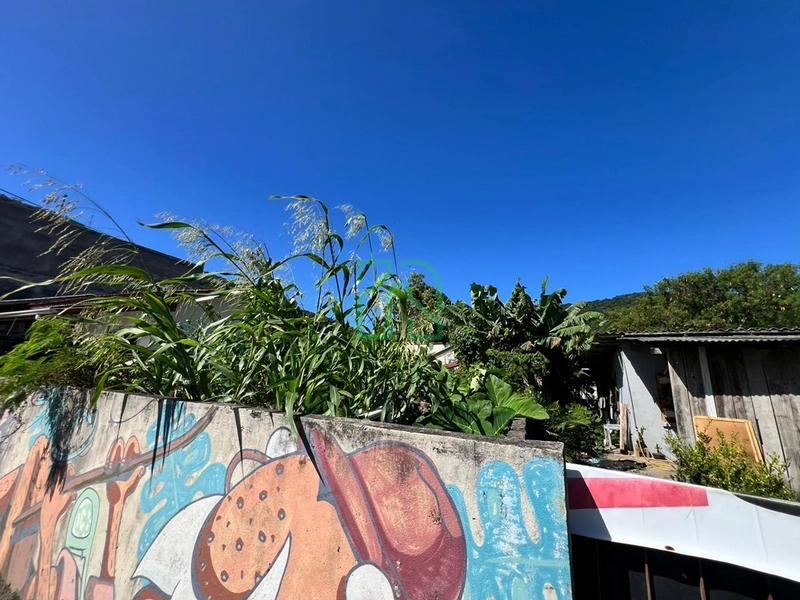 2 TERRENOS A VENDA NO BAIRRO DA BARRA: 4ª foto da galeria de imagens do imóvel