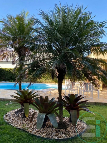 null: 34ª foto da galeria de imagens do imóvel