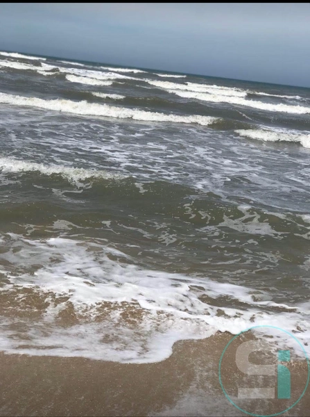 null: 13ª foto da galeria de imagens do imóvel