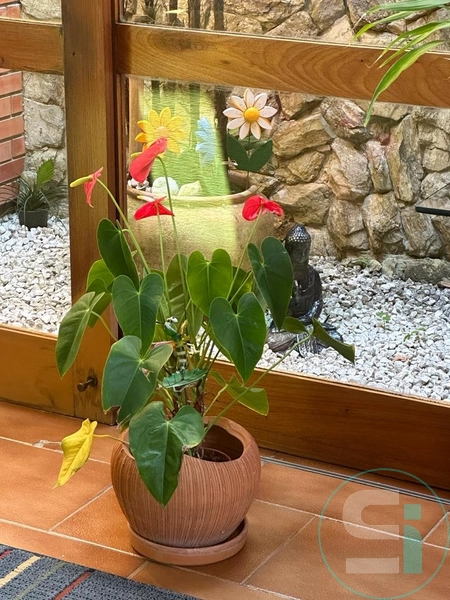 null: 9ª foto da galeria de imagens do imóvel