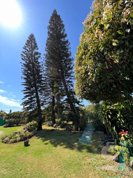 null: 24ª foto da galeria de imagens do imóvel