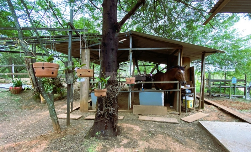 Casa em Canoas. 2 suítes com closet + 2D.: 48ª foto da galeria de imagens do imóvel