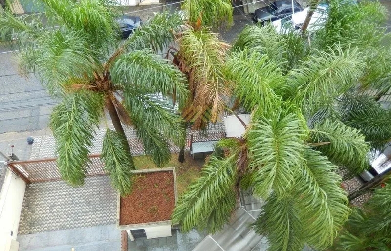 Apartamento, 3 quartos, 274 m² - Foto 62