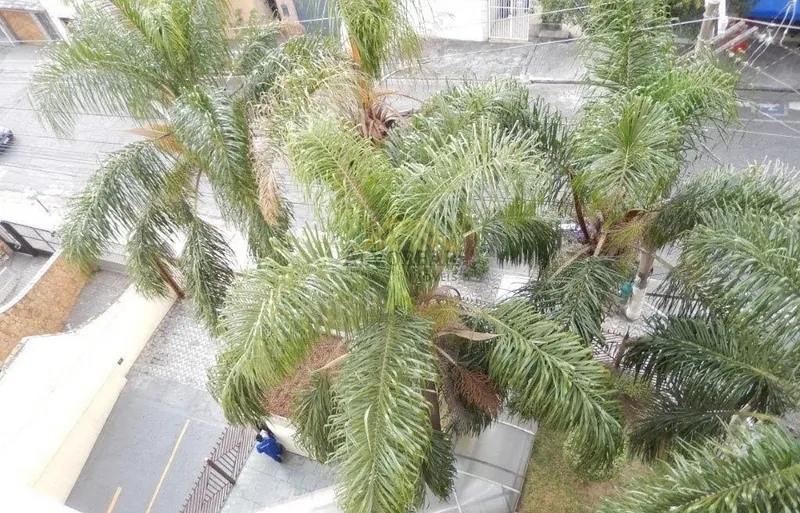 Apartamento, 3 quartos, 274 m² - Foto 63