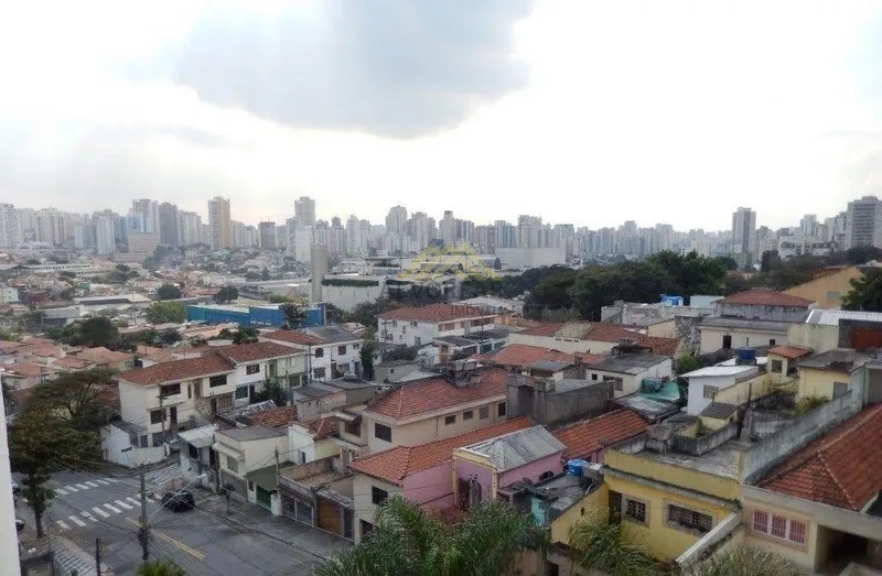 Apartamento, 3 quartos, 274 m² - Foto 51