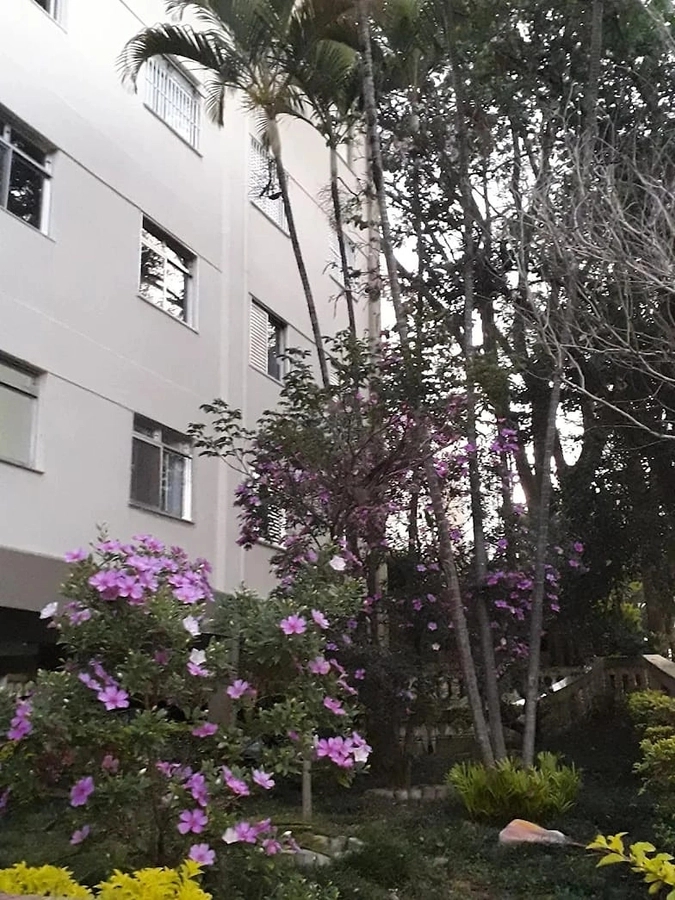 Apartamento, 3 quartos, 48 m² - Foto 29