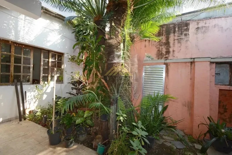 Casa, 5 quartos, 300 m² - Foto 5