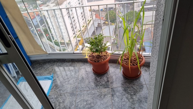 Oportunidade Única na Vila Vermelha!: 2ª foto da galeria de imagens do imóvel