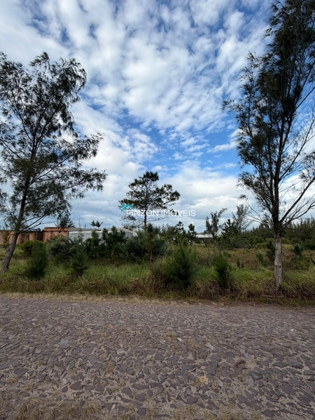 TERRENO EM REGIÃO DE MORADORES: 3ª foto da galeria de imagens do imóvel