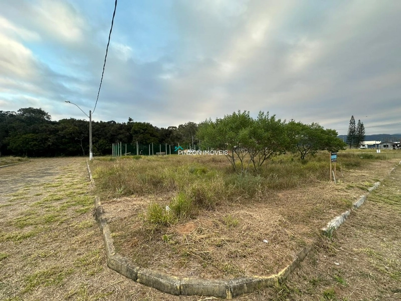 EXCELENTE TERRENO DE ESQUINA NO PALMITAL: 2ª foto da galeria de imagens do imóvel