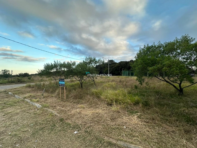 EXCELENTE TERRENO DE ESQUINA NO PALMITAL: 4ª foto da galeria de imagens do imóvel