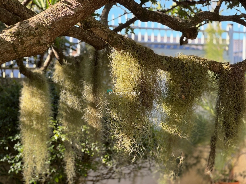 PROPRIEDADE COM 2 TERRENOS A UMA QUADRA DO MAR: 59ª foto da galeria de imagens do imóvel