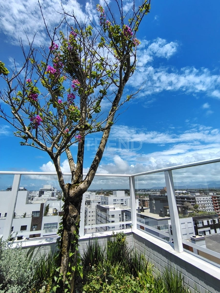 NAVEGANTES: 16ª foto da galeria de imagens do imóvel