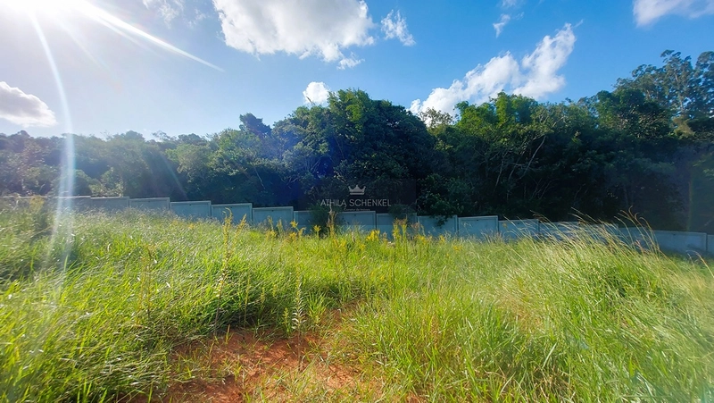 Lote : 6ª foto da galeria de imagens do imóvel