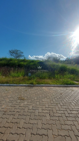 Lote : 8ª foto da galeria de imagens do imóvel