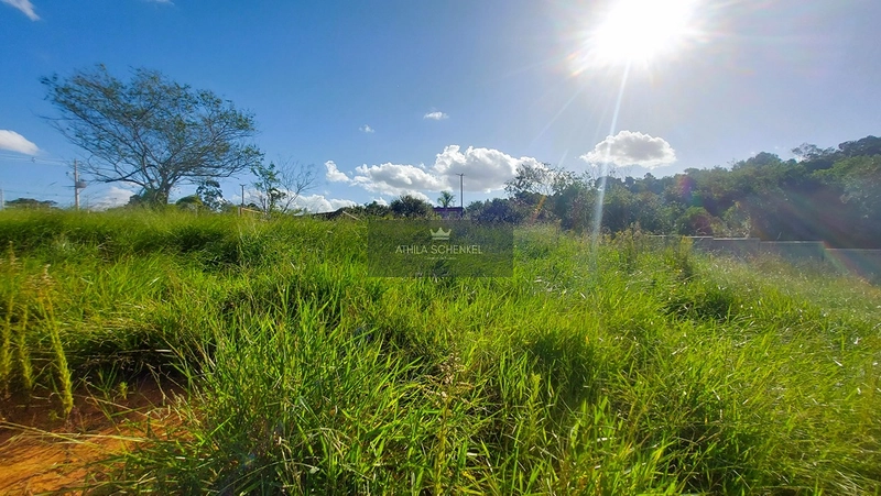 Lote : 5ª foto da galeria de imagens do imóvel