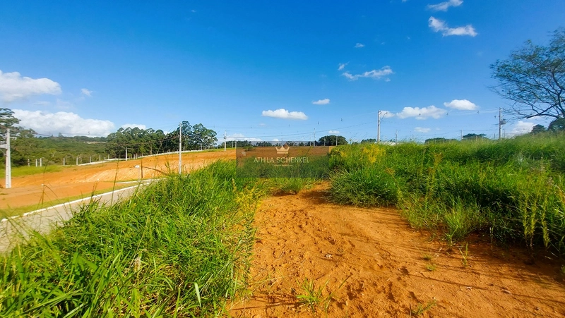 Lote : 4ª foto da galeria de imagens do imóvel