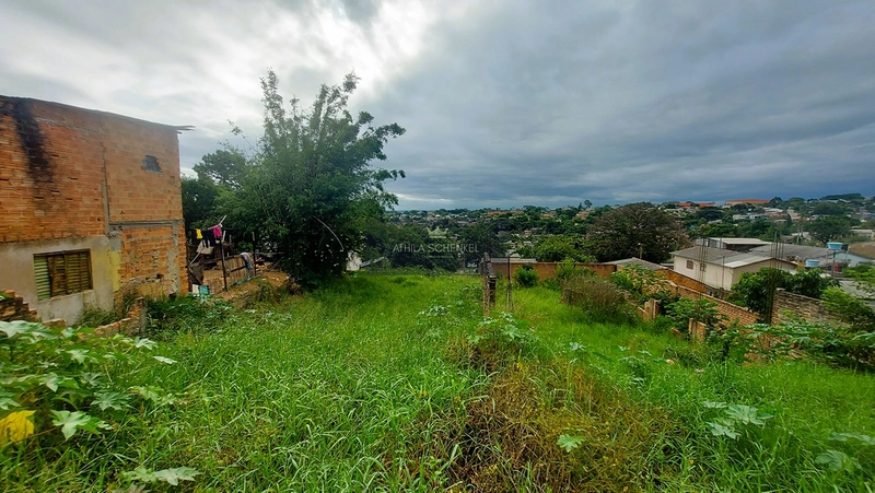 Terreno Grande e com Escritura: 1ª foto da galeria de imagens do imóvel
