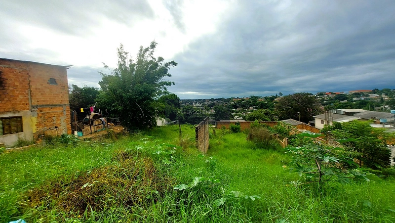 Terreno Grande e com Escritura: 3ª foto da galeria de imagens do imóvel