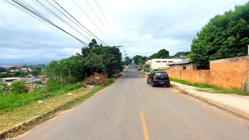 Terreno Grande e com Escritura: 5ª foto da galeria de imagens do imóvel