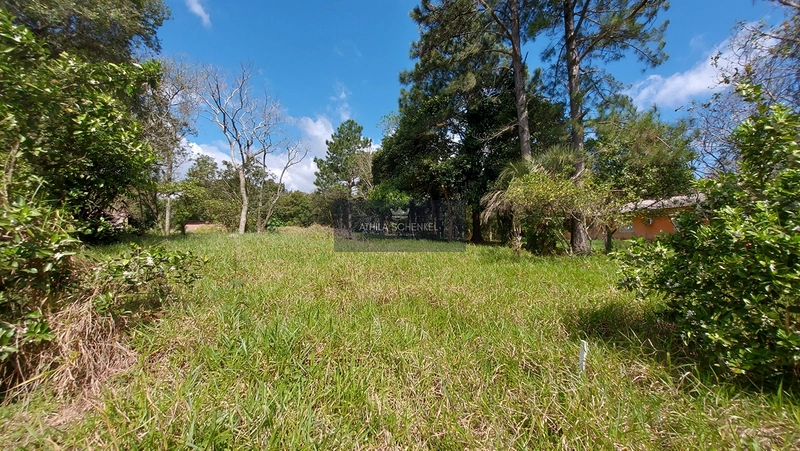 Terreno / Lote em Alvorada/RS.: 1ª foto da galeria de imagens do imóvel