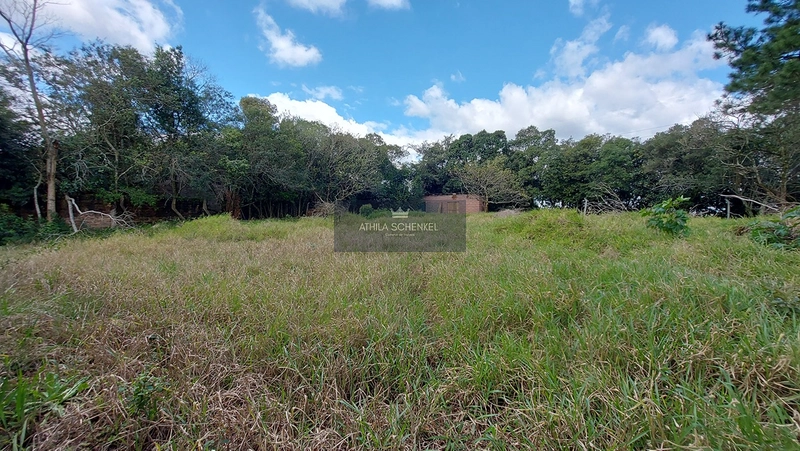 Terreno / Lote em Alvorada/RS.: 4ª foto da galeria de imagens do imóvel