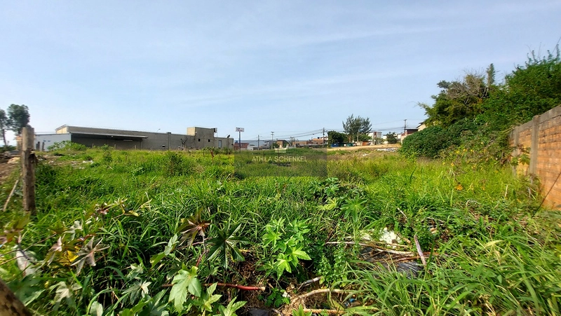 Terreno com 210m² no Jardim Leopoldina em Porto Alegre.: 3ª foto da galeria de imagens do imóvel