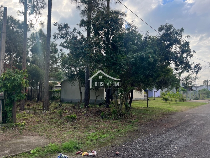 Terreno a venda em Capão Novo Village: 1ª foto da galeria de imagens do imóvel