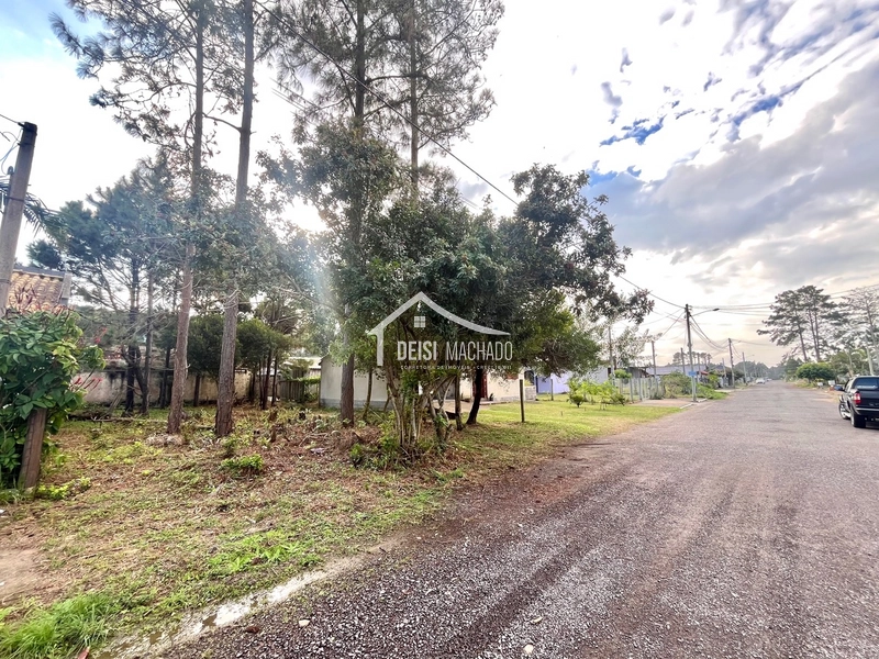 Terreno a venda em Capão Novo Village: 4ª foto da galeria de imagens do imóvel