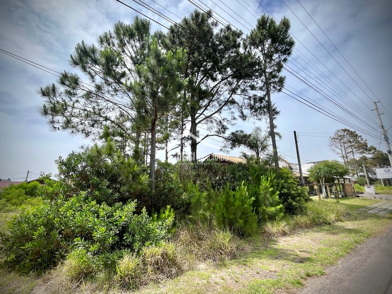 Terreno em Ótima Localização em Capão Novo Village!: 1ª foto da galeria de imagens do imóvel