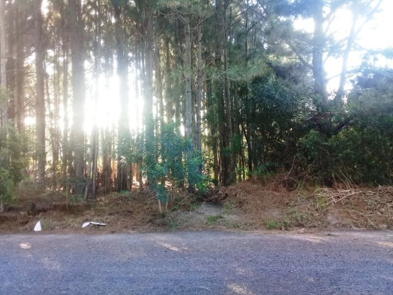 Terreno a venda em Capão Novo Village: 6ª foto da galeria de imagens do imóvel