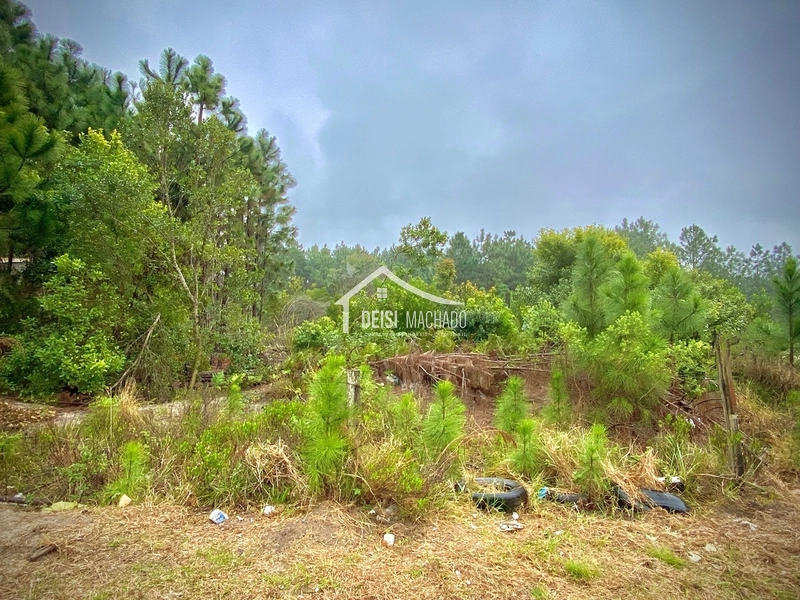 Terreno em  ZONA DE MORADORES na  Praia de Capão Novo , Village: 5ª foto da galeria de imagens do imóvel