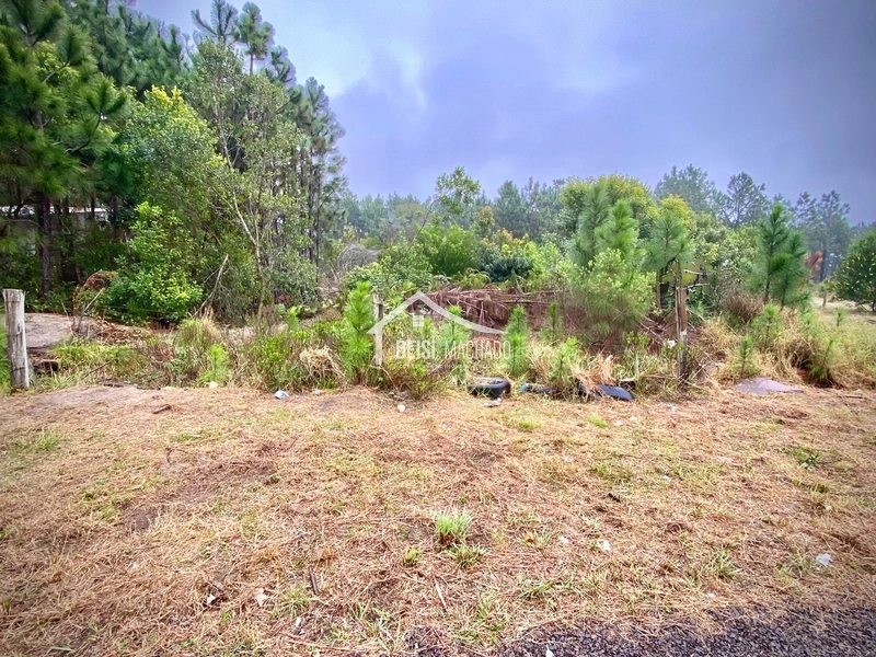 Terreno em  ZONA DE MORADORES na  Praia de Capão Novo , Village: 8ª foto da galeria de imagens do imóvel