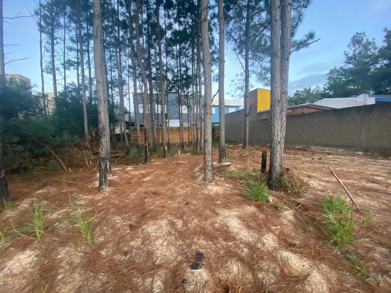Terreno a venda com valor abaixo do mercado: 5ª foto da galeria de imagens do imóvel