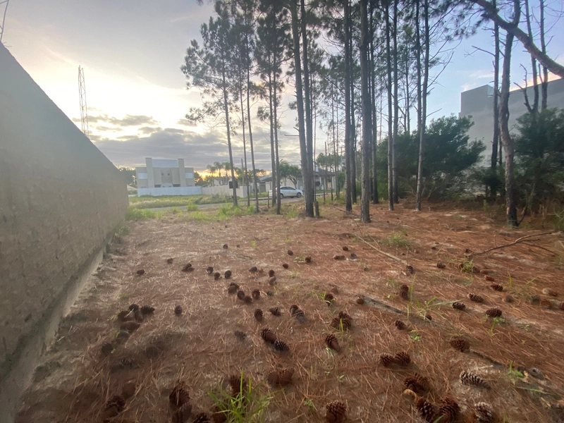 Terreno a venda com valor abaixo do mercado: 1ª foto da galeria de imagens do imóvel