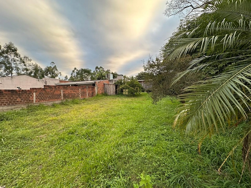 Vendo excelente terreno no bairro Timbaúva: 2ª foto da galeria de imagens do imóvel