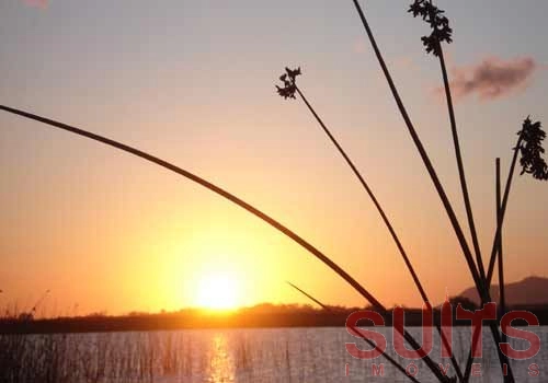 3ª foto do condomínio