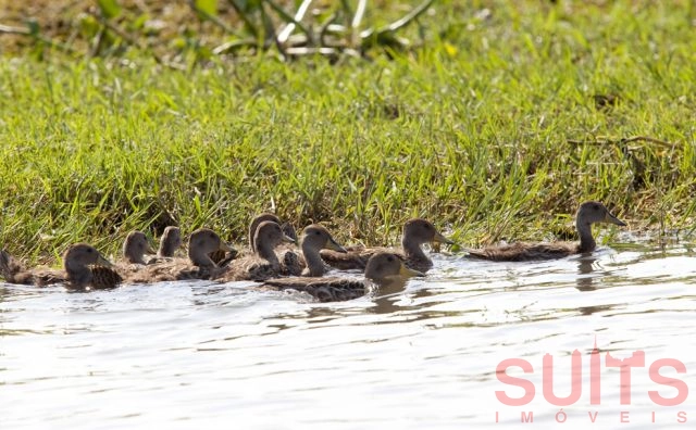8ª foto do condomínio