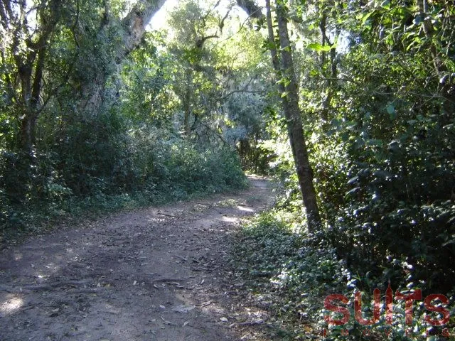 9ª foto do condomínio