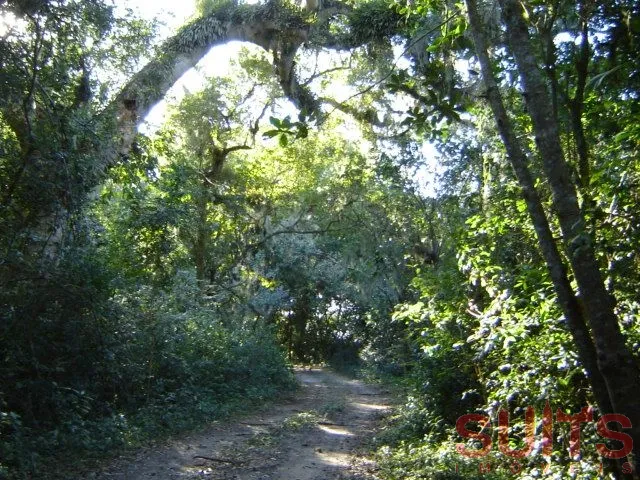 10ª foto do condomínio