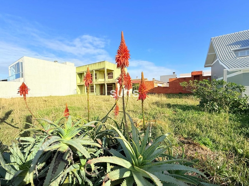 Excelente sobrado com 02 terrenos à venda: 3ª foto da galeria de imagens do imóvel