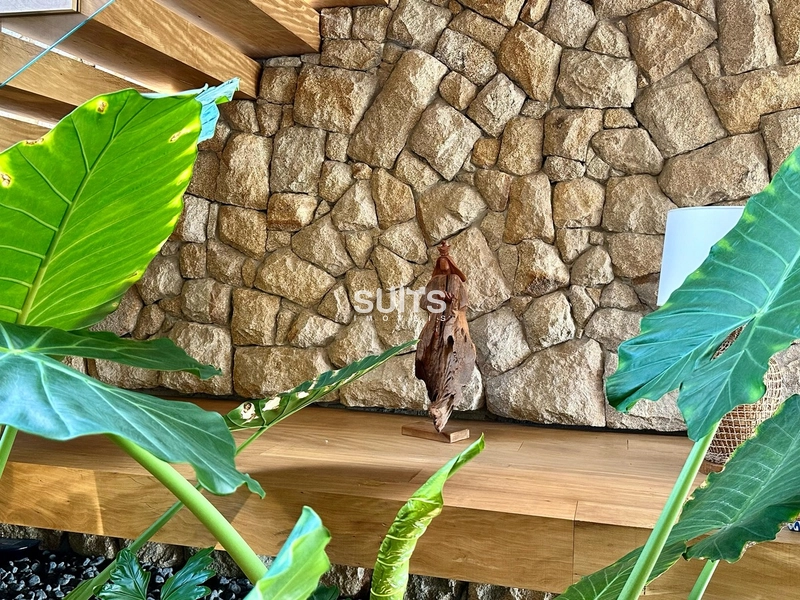 Mansão com 02 terrenos na beira do lago no cond. Bosques de Atlântida: 13ª foto da galeria de imagens do imóvel