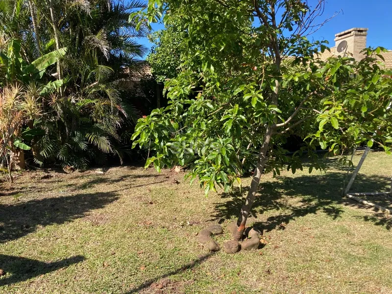 Excelente sobrado com 02 terrenos em Atlântida: 42ª foto da galeria de imagens do imóvel