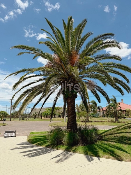 Excelente sobrado à venda no Green Village : 5ª foto da galeria de imagens do imóvel