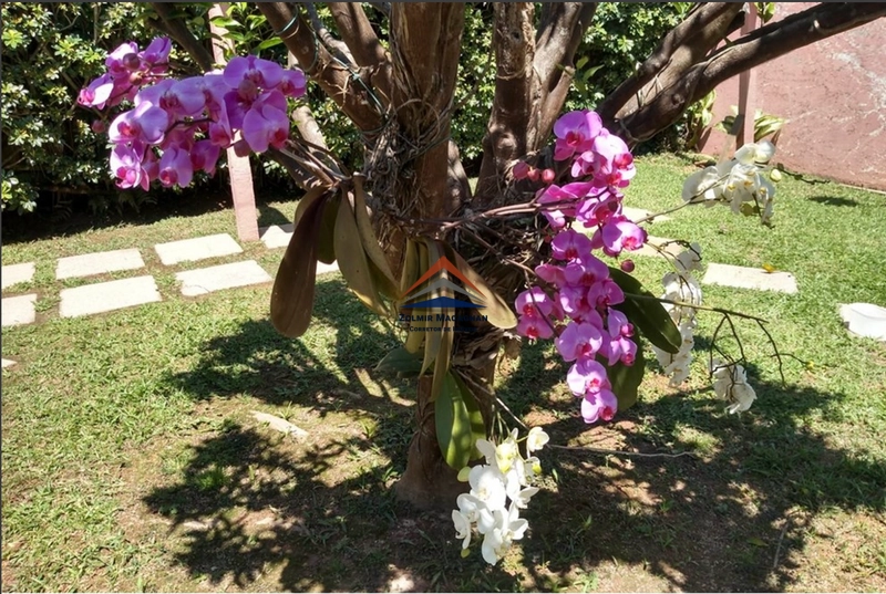 Casa Com 5 Dormitórios à Venda em Jurerê Internacional: 33ª foto da galeria de imagens do imóvel