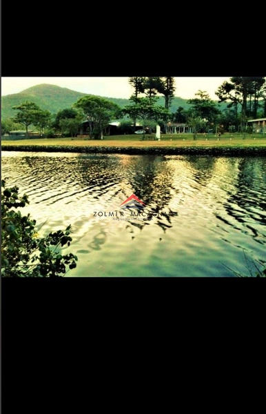 Casa em meio a Natureza a 300 metros da praia à Venda em Florianópolis: 6ª foto da galeria de imagens do imóvel
