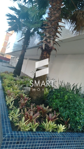 Apartamento pronto para morar no Bairro Zona Nova: 24ª foto da galeria de imagens do imóvel