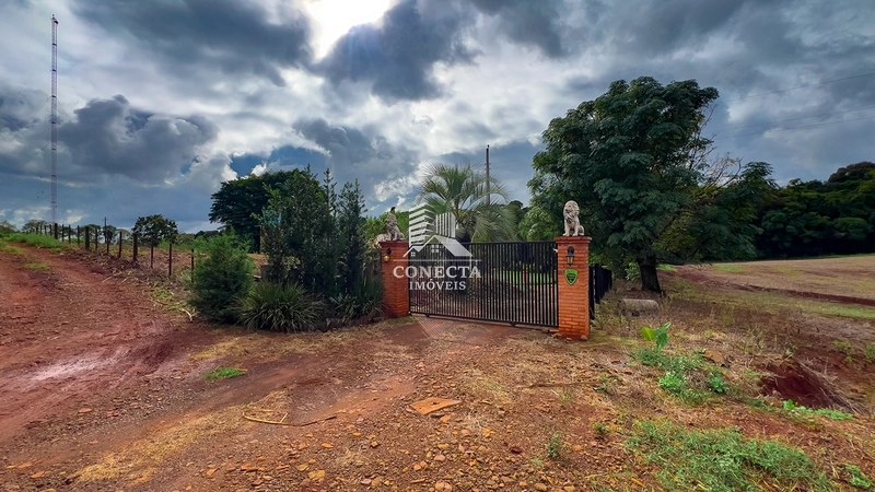 Linda Chácara de 3,9 hectares a venda em Santa Rosa : 26ª foto da galeria de imagens do imóvel